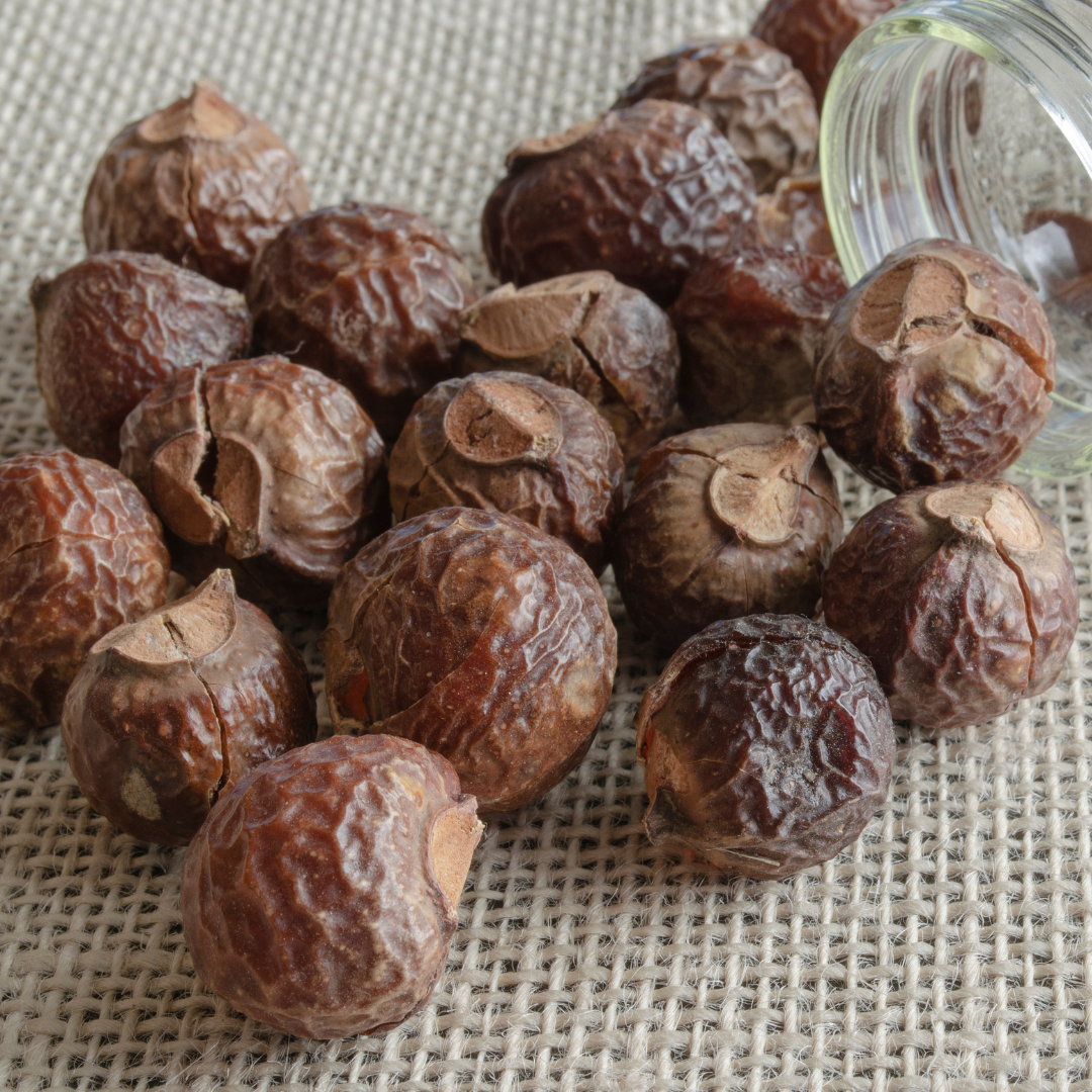 Frutos secos castanhos enrugados em tecido e frasco de vidro