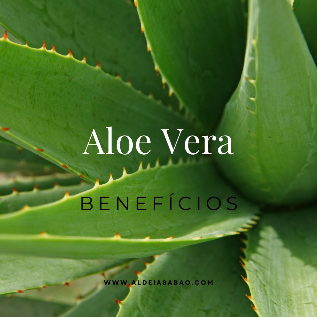 Benefícios da Aloe Vera para a Pele Planta Aloe Vera com texto sobreposto sobre benefícios