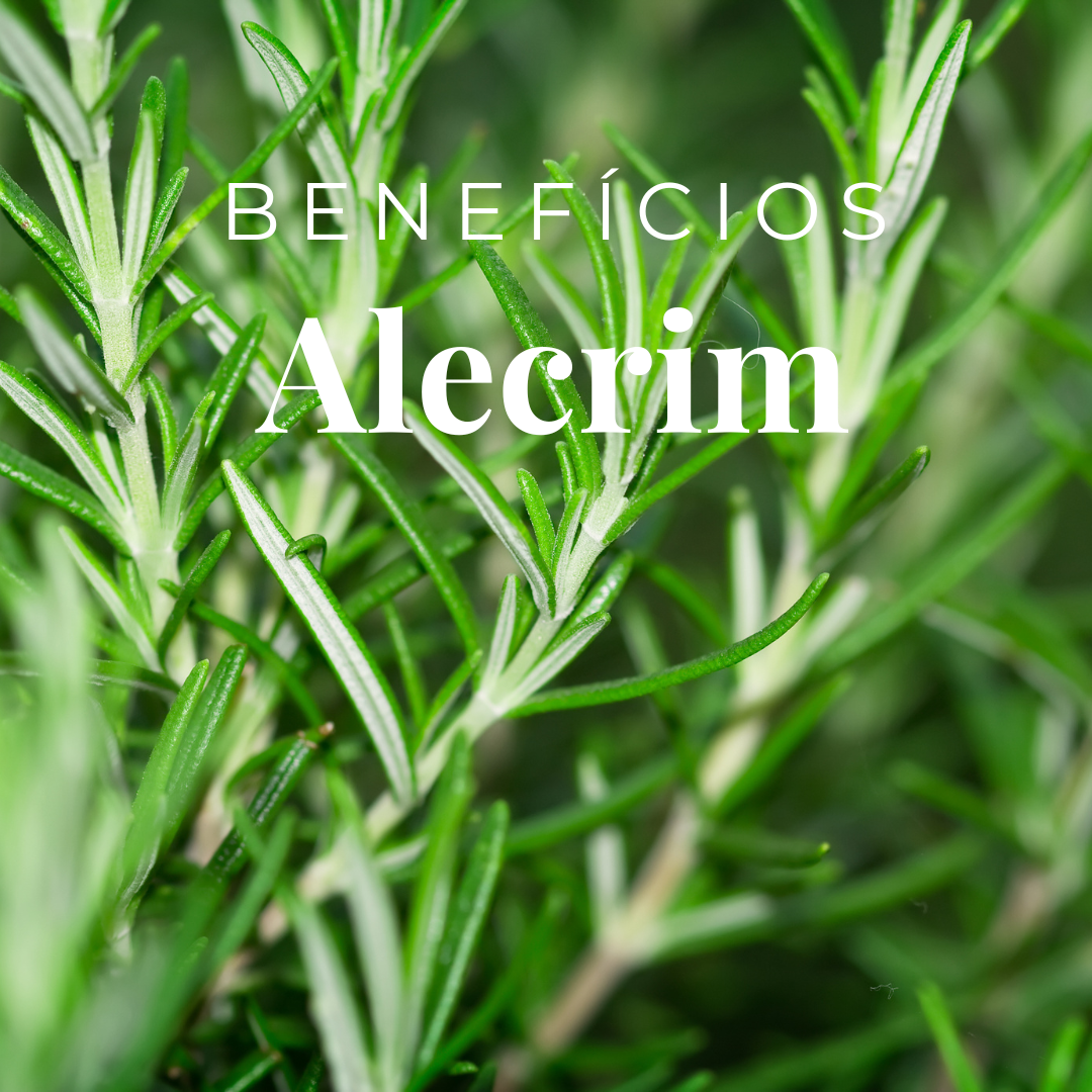 Benefícios do Óleo Essencial de Alecrim Ramos verdes de alecrim com texto 'BENEFÍCIOS Alecrim' em cima