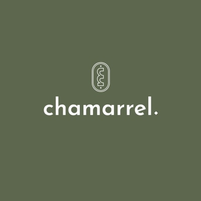 Logótipo branco com lâmpada estilizada e texto 'chamarrel.' em fundo verde-acinzentado