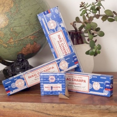 Caixas de incenso Nag Champa, globo terrestre e planta suculenta em vaso