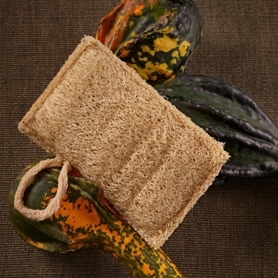 Esponja vegetal bege com alça sobre abóboras verdes e amarelas