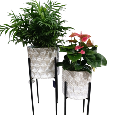 Dois vasos decorativos em suportes metálicos com plantas, fundo branco