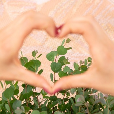 Ramo de folhas verdes enquadrado por mãos formando um coração com unhas vermelhas