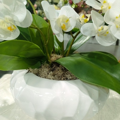 Orquídea branca artificial em vaso branco cerâmico