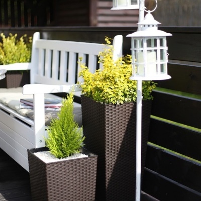 Banco de jardim branco com vasos de plantas em rattan castanho escuro e suportes de lanternas brancas num deck de madeira