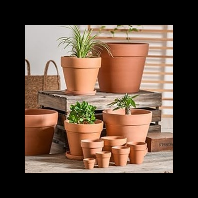 Vasos de barro de vários tamanhos com plantas verdes numa mesa de madeira