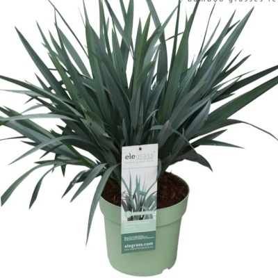 Planta artificial de folhas verdes em vaso verde claro com etiqueta da marca ele grass.