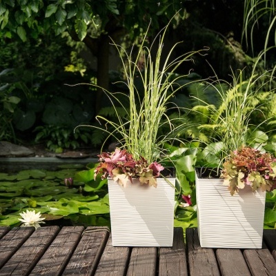 Dois vasos brancos com plantas verdes e folhagens vermelhas num deque de madeira junto a um lago com lírios aquáticos.
