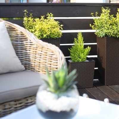 Conjunto de móveis de exterior em vime claro com plantas em vasos pretos e fundo de parede de tijolos