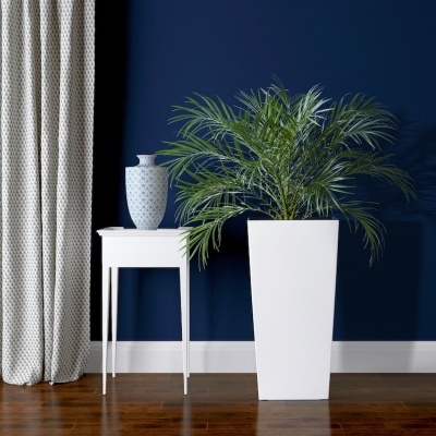 planta em vaso branco ao lado de mesa branca com vaso decorativo em parede azul