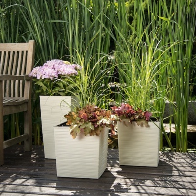 Três vasos quadrados creme com plantas e flores em deck de madeira junto a banco de madeira e folhagem no fundo