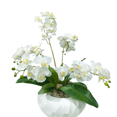 Arranjo artificial de orquídeas brancas em vaso branco