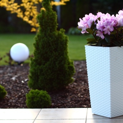 Vaso branco texturizado com flores cor-de-rosa num jardim