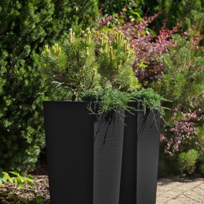 Dois vasos pretos altos com plantas verdes em jardim exterior