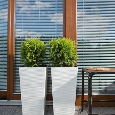 Dois vasos brancos altos com plantas verdes numa varanda com porta de vidro e persianas azuis