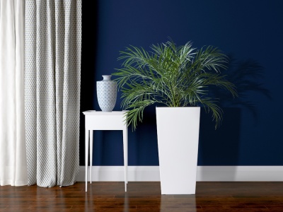 planta em vaso branco ao lado de mesa branca com vaso decorativo em parede azul