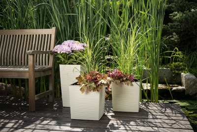 Três vasos quadrados creme com plantas e flores em deck de madeira junto a banco de madeira e folhagem no fundo