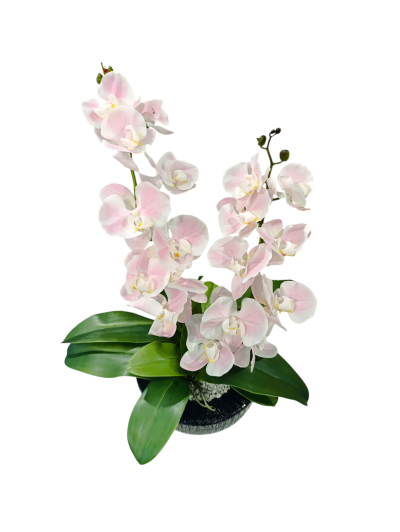 Orquídea artificial em vaso preto com flores brancas e cor-de-rosa e folhas verdes