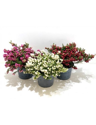 Três vasos com flores artificiais rosas, brancas e vermelhas em vasos cinzentos