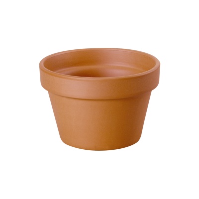 Vaso de planta em terracota laranja em fundo branco