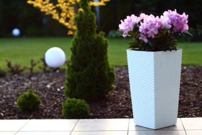 Vaso branco texturizado com flores cor-de-rosa num jardim