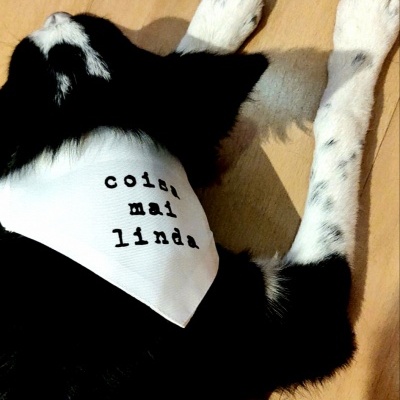 Cão a usar bandana branca com texto preto 'coisa mai linda' deitado em chão de madeira clara
