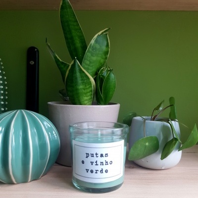 Vela em vidro com texto ao lado de vasos com plantas numa prateleira de madeira