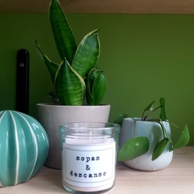 Vela aromática, plantas em vasos cerâmicos e decoração sobre prateleira de madeira