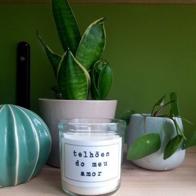 Vela branca em copo de vidro com texto 'telhões do meu amor' na etiqueta, ao lado de vasos com plantas em prateleira de madeira