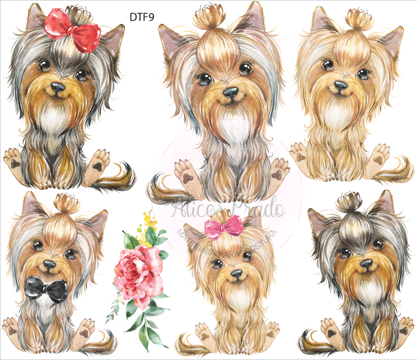 Desenhos coloridos de seis cães Yorkshire Terrier com laços e flores