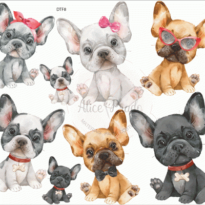 Ilustrações coloridas de oito cães bulldog francês com acessórios diversos sobre fundo branco