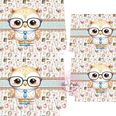 Sacos com estampa de coruja de óculos e itens escolares coloridos.