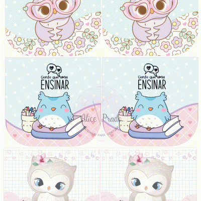 Adesivos decorativos com corujas, flores e texto em tons pastel