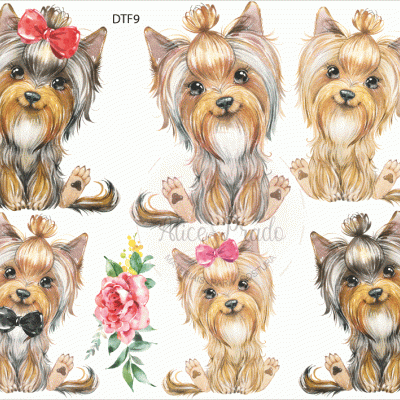 Desenhos coloridos de seis cães Yorkshire Terrier com laços e flores