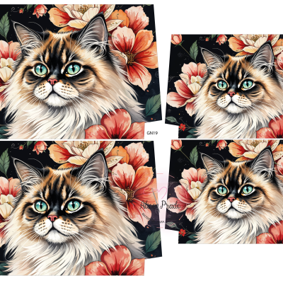 Ilustração de gato com flores coloridas em fundo preto