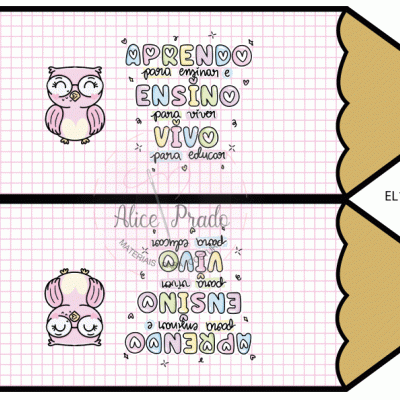 Design gráfico de corujas rosa e texto colorido sobre fundo quadriculado rosa e branco para impressão