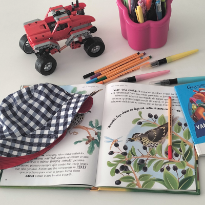 Livro infantil aberto, chapéu xadrez azul e branco, lápis, estojo rosa, livro pequeno e brinquedo vermelho tipo caminhão