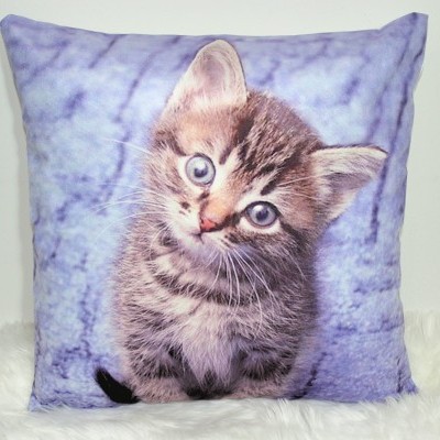 Almofada com imagem de gato bebê cinzento
