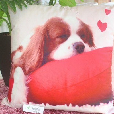 Almofada decorativa com imagem de cão a dormir numa almofada vermelha