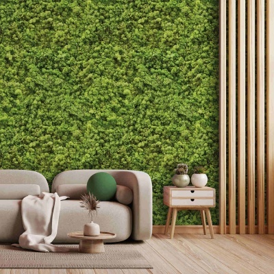 Sala de estar com sofá cinza, almofada verde, manta branca, mesa baixa com vaso, parede de musgo verde, ripas de madeira clara e chão de madeira clara