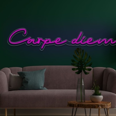 Sofá cor de rosa com almofada azul e luz néon 'Carpe diem' numa sala decorada com plantas.