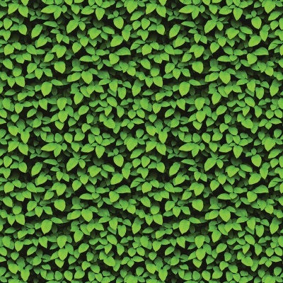 Folhas verdes pequenas em padrão denso e uniforme