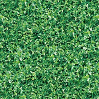 Folhagem verde densa em padrão uniforme