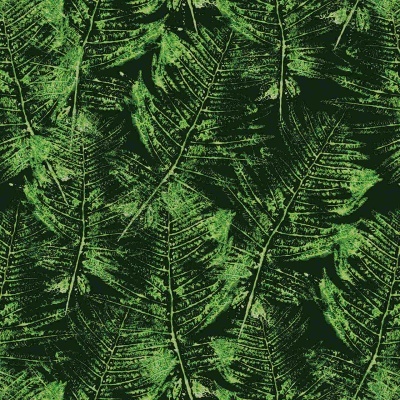 Pano verde com padrão de folhas tropicais sobre fundo preto