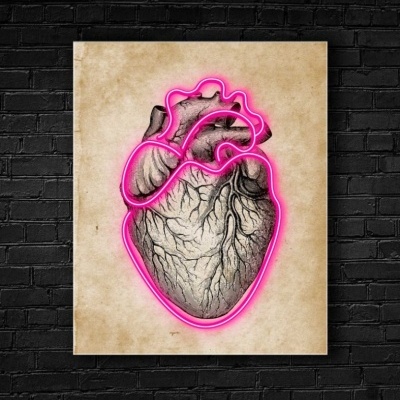 Ilustração de coração humano anatómico com contorno néon rosa em poster na parede