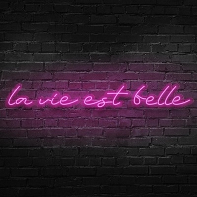 neon rosa com a frase la vie est belle numa parede de tijolo preto