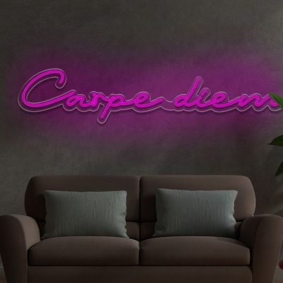 Sala de estar com sofá, plantas e texto neon 'Carpe diem' na parede cinza