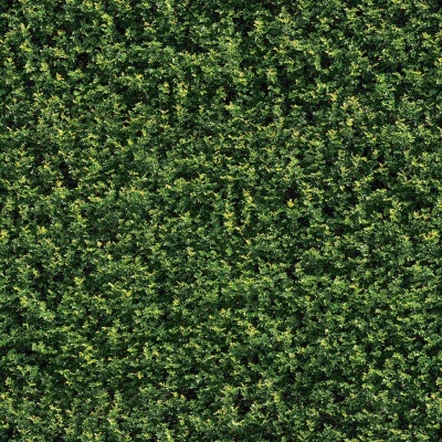 Cerca viva artificial verde em tela quadrada