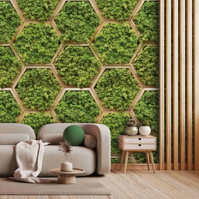 Sala de estar com sofá cinza claro, almofada verde, mesa de centro e parede decorativa com painéis hexagonais de musgo